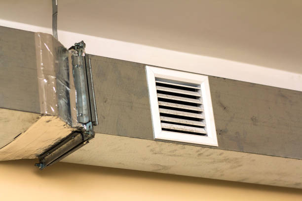 Best Air Duct Mold Removal  in Lake Goodwin, WA